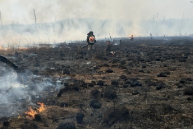 359 природных возгораний потушили в ЕАО с начала пожароопасного сезона