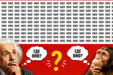 ТЕСТ на повышенный IQ: найдите за 9 секунд потерянное число 899