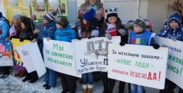 Более 150-ти биробиджанцев приняли участие в уличном шествии в День памяти жертв ДТП Владимир Иващенко ИА ЕАОmedia