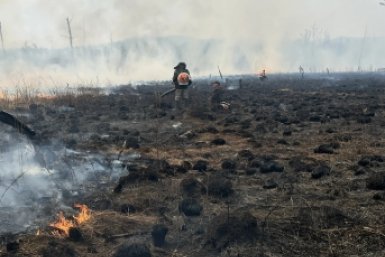В ЕАО прибудут дополнительные силы для тушения лесных пожаров