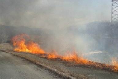 Лесопожарная обстановка в ЕАО стабилизируется: на помощь из Бурятии направлены 30 пожарных