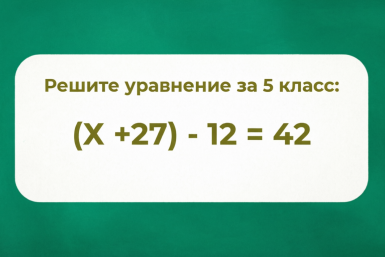 По математике вам ставили лишь твёрдые двойки, если не осилите это уравнение в уме: проверьте себя