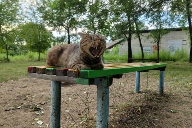 Начинаем рабочий день с полезной утренней подборки — гороскопа и погоды на 18 мая