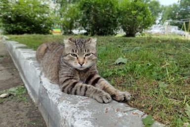 Начинаем рабочий день с полезной утренней подборки — гороскопа и погоды на 19 мая