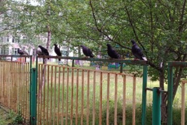 Начинаем рабочий день с полезной утренней подборки — гороскопа и погоды на 22 мая