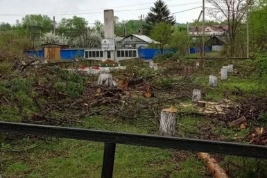 Уничтожили 18 сосен, высаженных ветеранами Великой Отечественной, в пос. Бира ЕАО