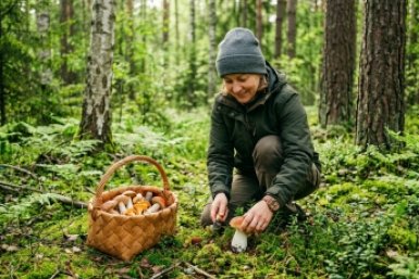"Тихая" охота во всю прет: выхожу из леса с полными корзинами вкусных грибов — всего 5 трюков
