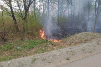 Дополнительная техника необходима для ликвидации пожара на полигоне ТБО около Биробиджана