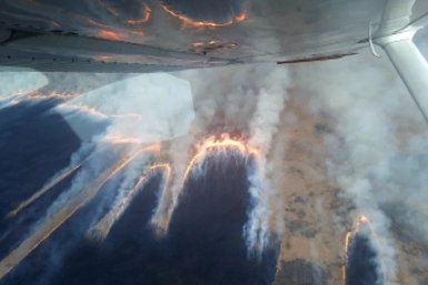 Один действующий пожар зарегистрирован на территории ЕАО