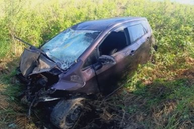 Улетел в кювет и врезался в дерево водитель на трассе в ЕАО: пострадала юная пассажирка