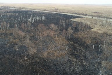 Многодневный пожар на мусорном полигоне около Биробиджана пока не потушен