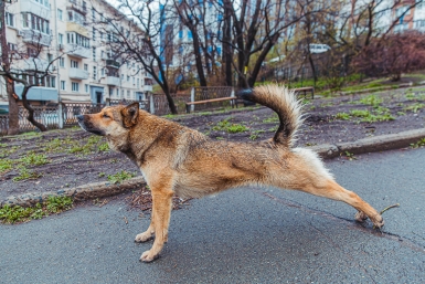 Тематическое фото ИА PrimaMedia