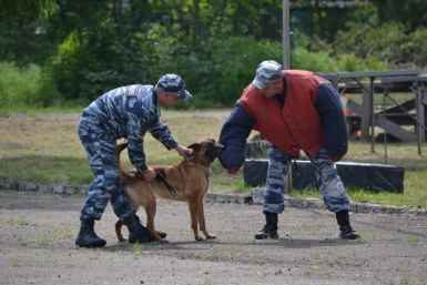В обновленных условиях теперь несут службу кинологи полиции и их питомцы в Биробиджане