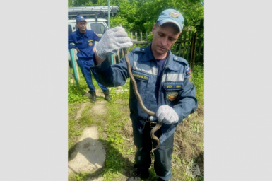 тематическое фото МЧС ЕАО
