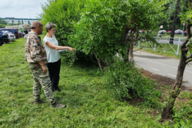 Тематическое фото мэрия Биробиджана