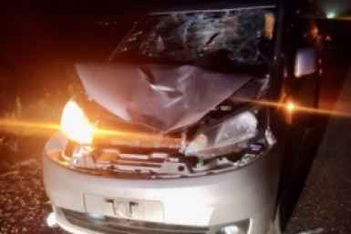 Пешеход погиб под колёсами автомобиля на трассе под Находкрй пресс-служба УМВД России по Приморскому краю