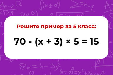 Кто решит уравнение за 5 класс без калькулятора — тому стальная пятерка. Слабо с 1 попытки?