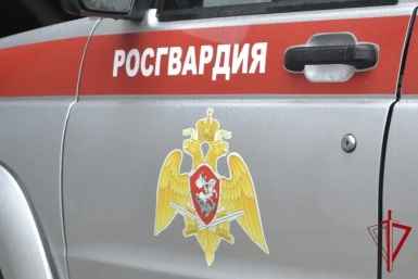 Тематическое фото Росгвардия ЕАО