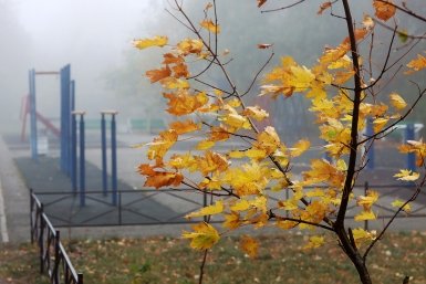 Теплым и дождливым обещает быть сентябрь в ЕАО