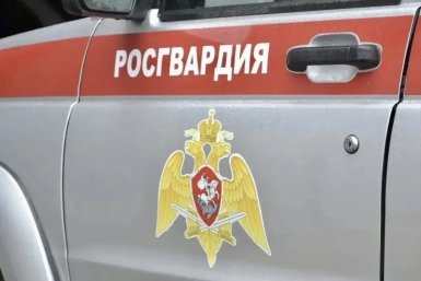 Поссорилась со спутником в кафе и переключилась на остальных посетителей дебоширка в ЕАО