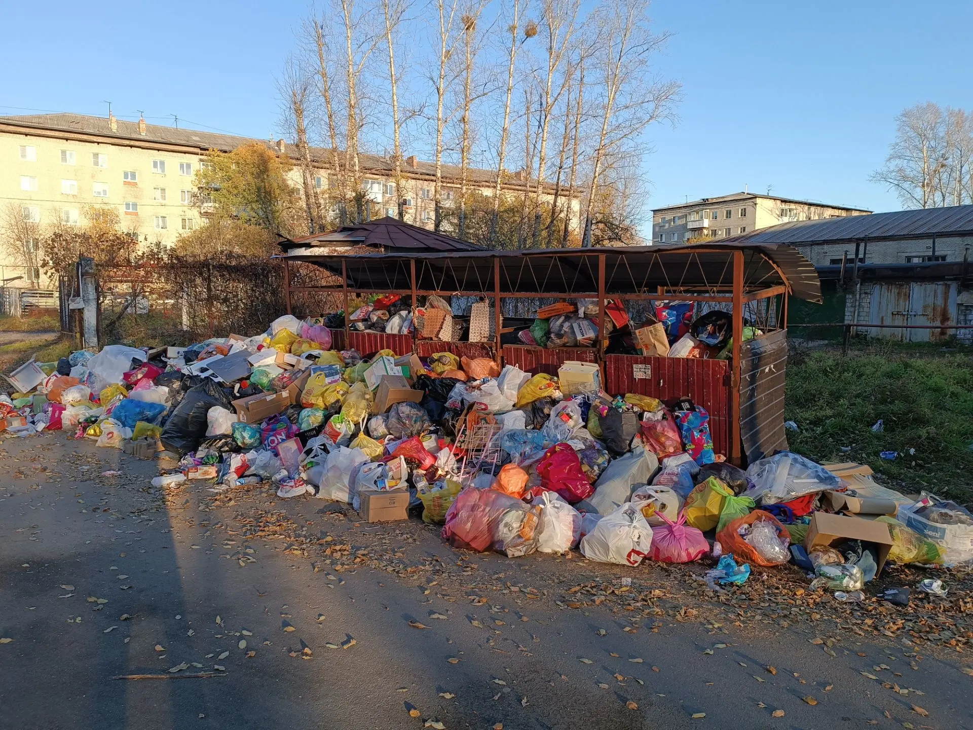 "Аннулирована лицензия": причину мусорного коллапса в Биробиджане назвала прокуратура