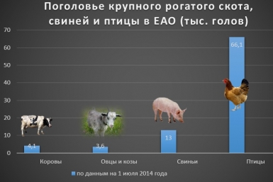 поголовье животных в ЕАО ИА EAOmedia