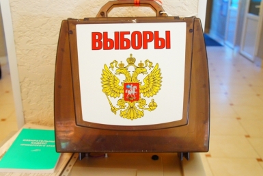 Нарушения пожарной безопасности на избирательных участках ЕАО устранили после проверки МЧС Анна Мажуга