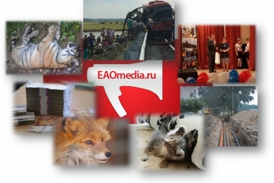Рейтинг новостей ИА ЕАОMedia