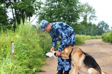 Смотр-конкурс специалистов-кинологов и их служебных собак  пресс-служба УФСИН России по ЕАО