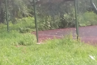 В сетке вокруг стадиона зияют дыры ИА ЕАОMedia