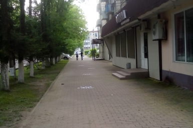 Полиция Биробиджана &quotраскручивает&quot историю со штампами номеров службы такси на брусчатке   народный корреспондент ИА ЕАОMedia