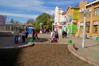 Лошади в центре Биробиджана Фото предоставлено наркорром
