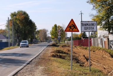 Нарушения в обустройстве пешеходных переходов возле школ ЕАО выявили активисты ОНФ Предоставлено пресс-службой ОНФ