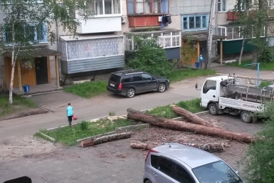 На траве дрова... Фото предоставлено народным корреспондентом