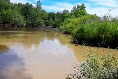 Вода в реке становится мутной Народный корреспондент