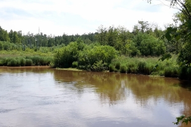 Сбросы в р.Сутара Народный корреспондент