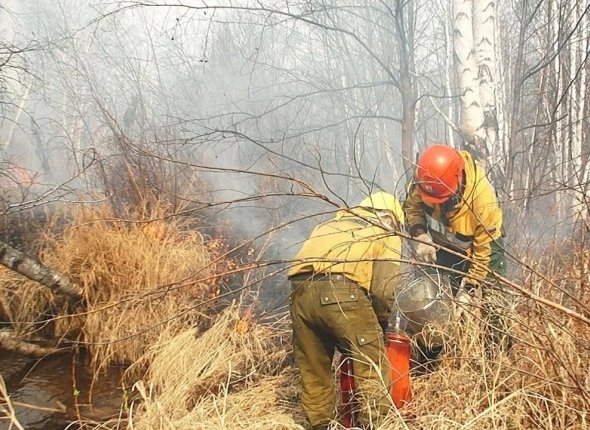 Новость дня