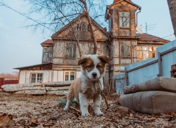 Юные самбисты из ЕАО завоевали путевку на первенство России