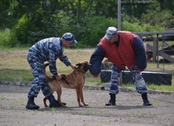 Новость