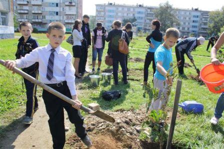 Ломоносовская рябиновая аллея высажена в память о великом ученом в Биробиджане