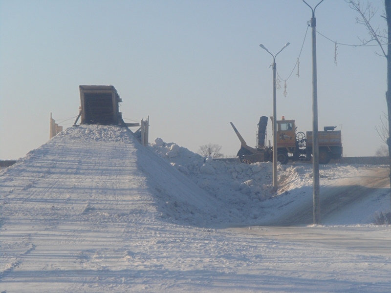 Главную новогоднюю елку ЕАО установили в городском парке