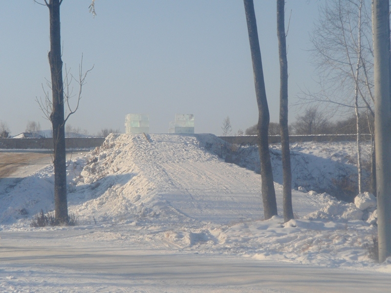 Главную новогоднюю елку ЕАО установили в городском парке
