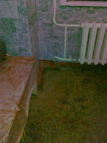 Грибок преследует повсюду
