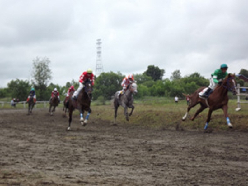 Соревнования проходили уже в 6-ой раз 