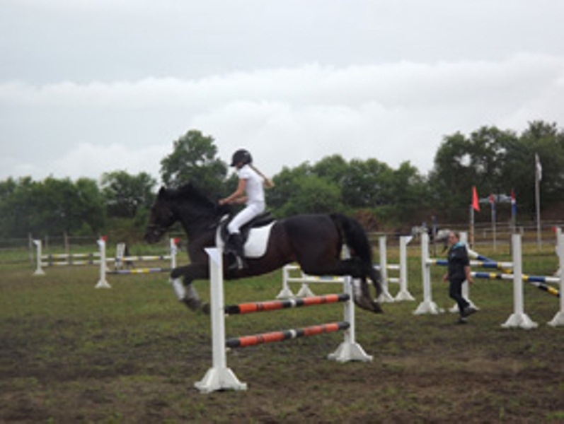 В ЕАО состоялись конноспортивные соревнования на Кубок главы Смидовического района 