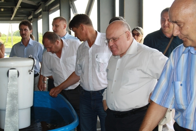 Губернатор области Александр Винников знакомится с процессом разведения мальков осетра