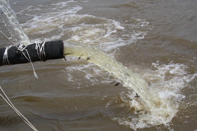Двухмесячных осетрят и калужат выпустили в Амур в ЕАО