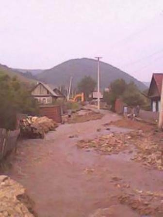 Красавчик в г. Облучье ЕАО "похудел" втрое