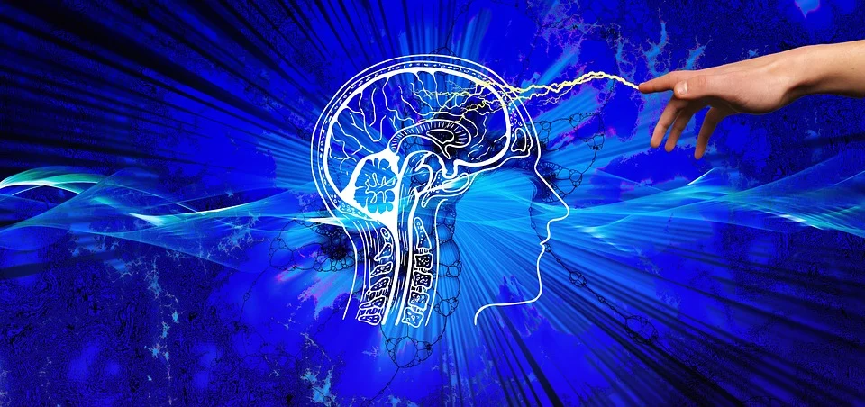 Тематическое фото pixabay.com
