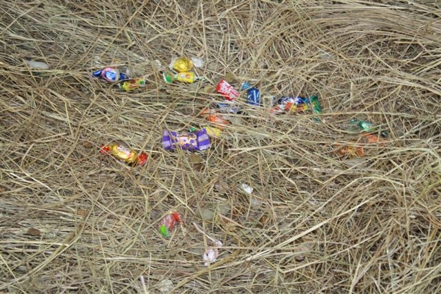 По примеру волхвов верующие Биробиджана приносят в вертеп подарки